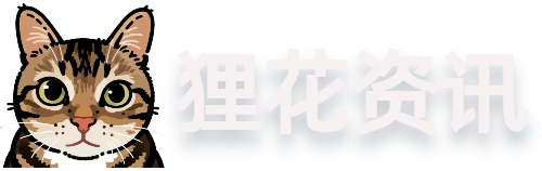 狸花资讯-各种老师圈子实时同步